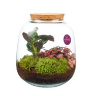 Ecosistema Hyperion