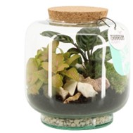 Ecosistema 90615