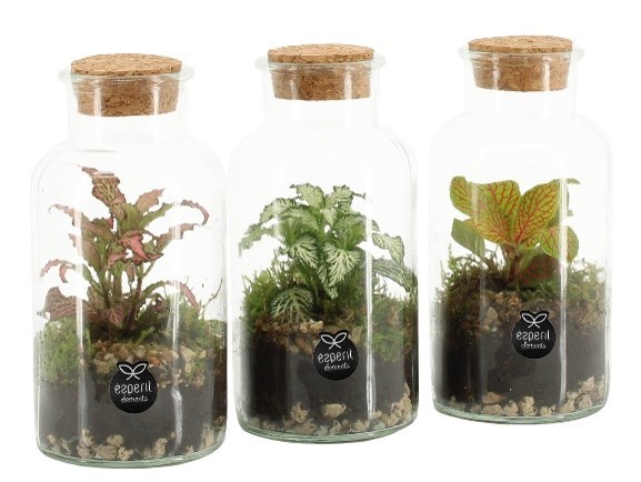 Ecosistema Mini Bottle 90478